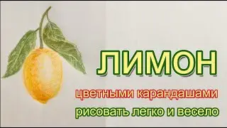 Лимон на ветке. Как нарисовать цветными карандашами.