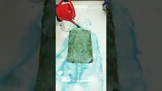 Storm Damaged Rug! So Much Mud. Is It Saveable? Satisfying ASMR Carpet Cleaning Timelapse. #shorts