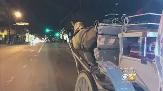 Winter Carriage Rides Keep Workers In The Cold