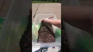 Perfect potting mix for thriving indoor plants #indoorplants #pottingsoil