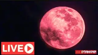 Красная Луна 24.04.24 neu red moon phase 🌒