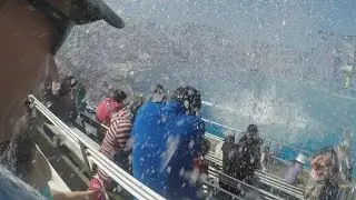 Killer Whale Super Soaked Us at Sea World