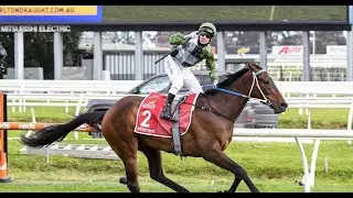 Incentivise - From Sunny Coast Mdn To Melbourne Cup In 6 Months