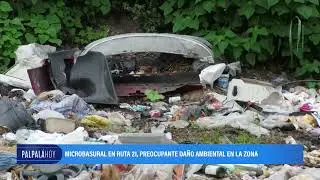 Palpal&aacute;: microbasural en Ruta 21 y un preocupante da&ntilde;o ambiental a la zona
