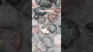 Conglomerates= so fun to find! I love Pudding stones #rockhounding #chicksthatrock #puddingstones