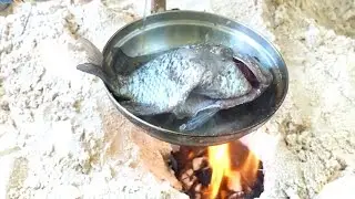 Catch 'n' Cook - Tropical Fish