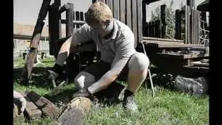 Wald4tel go Saniob