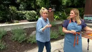 Ninja Woodfire 7-in-1 Electric Outdoor Smoker & AirFry Grill with Griddle on QVC