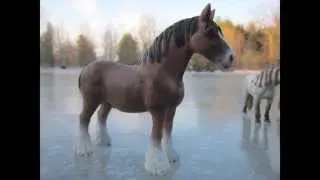 Schleich Stop-motions and Randomness - Schleich Dog and Horse Movie