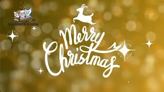 MellowCatsーChristmas2025