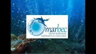 Presentation of the MARBEC (MARine Biodiversity Exploitation & Conservation) Unit in english