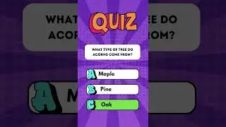 Speed test for your brain! General knowledge quiz in under a minute! #shorts #quiz