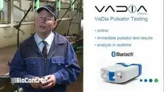 Fast and easy Pulsator Testing with VaDia