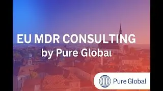 EU MDR Consulting by Pure Global