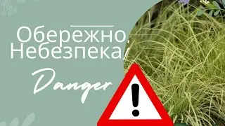 Be careful!!! Danger is all around us!