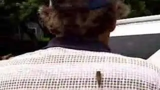 Insect Invasion