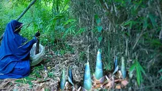 Mencari rebung di hutan | Masak sayur rebung dengan santan | Tahu isi rebung | Hidup di Desa