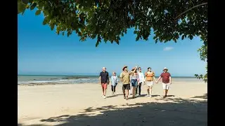 Billy Tea Safaris, Daintree Rainforest Tour