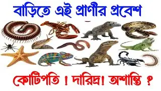 বাড়িতে এই প্রাণী বা কীটপতঙ্গের প্রবেশ আপনার জীবনে বড় কিছু ঘটাবে।@SecretAstrology1