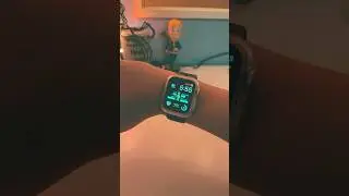 Awesome Pip Boy Apple Watch!