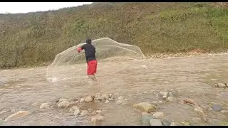 PESCA DE BOCACHICOS PARA EL FRITO CON ATARRAYA