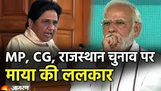 Hindi News LIVE: Uttar Pradesh | BSP Chief Mayawati | Opposition Meet | INDIA Vs NDA | Politics