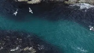 Outdoor adventure travel to beautiful ocean.Cinematic wild nature aerial 4k.