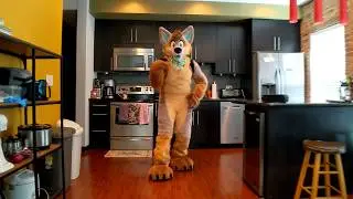 Jamage ~ Fursuit Freestyle ~ Bum Bum Tam Tam