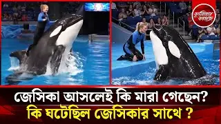 জেসিকা আসলেই কি মারা গেছেন? সেদিন কি ঘটেছিল জেসিকার সাথে | jessica radcliffe dolphin video