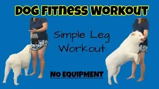 Dog Fitness Leg Workout, No Equipment!