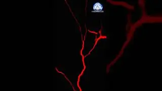DANGEROUS THUNDER AND LIGHTNING #short #viral #lightning