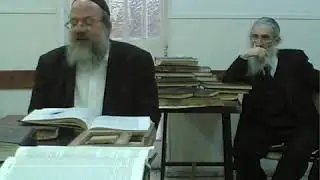 Rav daniel caplan: respecting talmid chachamin, against rav slifkin #2