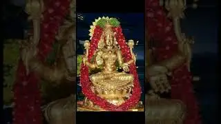 World largest golden temple Shri Lakshmi Narayani, vellore tamilnadu। #india #goldentemple #indian