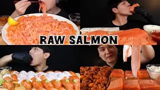 RAW SALMON MUKBANG Compilation | ASMR 2x Speed Eating show
