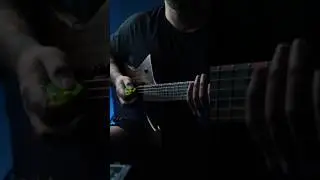 Hufschmid Guitars - Matt Tera #customguitar #guitar #electricguitar