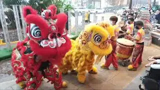 Malaysia Xuan Wu Double Lion Acrobatics Low Yat Plaza