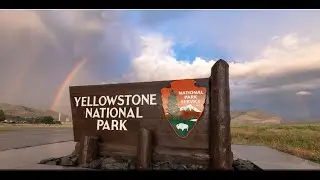 Amazing Animals Habitat in  Super volcano in  Yellowstone