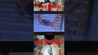 The tick comb, 1 down, google ￼to go. #Shorts #ShortVideo #YouTubeShorts #video #Follow #YouTube #me