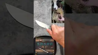 PROs and CONs of a SHEEPSFOOT BLADE! 🧐🐑
