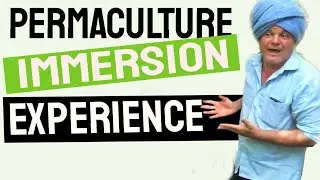 Permaculture Work Experience Auroville India ✭ Permaculture Farm Tour BOOK NOW !
