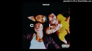 5 Seconds Of Summer - Best Years (Instrumental)