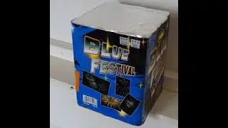BLUE FESTIVAL TRISTAR🇧🇪