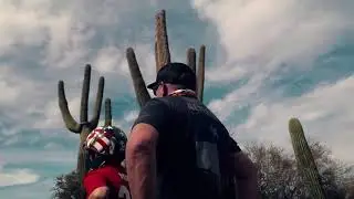 Desert Wolf Tours Arizona
