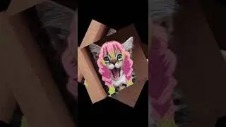 Pet Names #demonslayer #tengenuzui #mitsurikanroji #obanaiiguro #cats #cutecata #funny