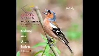 Solang wir Atem holen - Monatslied Mai