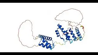 SIX3 protein 3D structure
