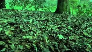 robin hood title sequence