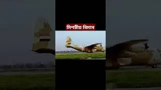 Egypt - Egyptian Air Force Model:C-130 Hercules