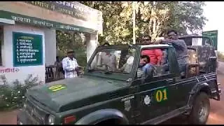 भोरमदेव अभ्यारण्य जंगल सफारी/ BHORAM DEV JANGAL SAFARI