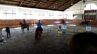 Kurz cvičitele jezdectv&iacute; Brno 2014